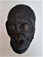 Dodenmasker Jonge Gorilla