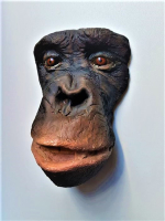 Dodenmasker Chimpansee