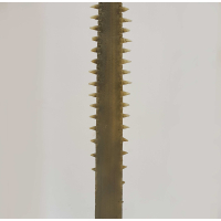 Fantastische Replica Rostum Zaagvis