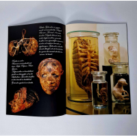 #1 editie van ons Rariteiten magazine