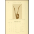 !Wereld Record! Grootste Bok Ooit Geleefd c.a. 1900