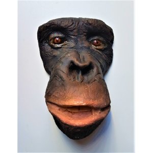 Dodenmasker Chimpansee Dodenmasker Chimpansee