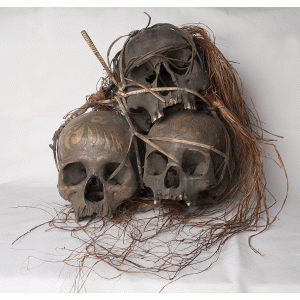 Dayak trofee schedels Dayak trofee schedels