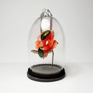 Natuur Historische Decoratie. Twee Rozenkevers op bloem Natuur Historische Decoratie. Twee Rozenkevers op bloem