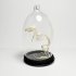 Natuur Historische Decoratie. Skelet muis