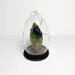 Natuur Historische Decoratie. Twee Kevers op blad Natuur Historische Decoratie. Twee Kevers op blad