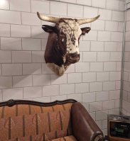kop schoudermontage stier
