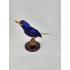 Taxidermie numfor martin-pêcheur paradisiaque