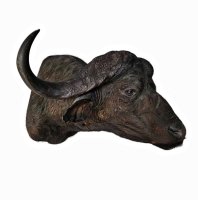 kop schoudermontage kaffer buffel