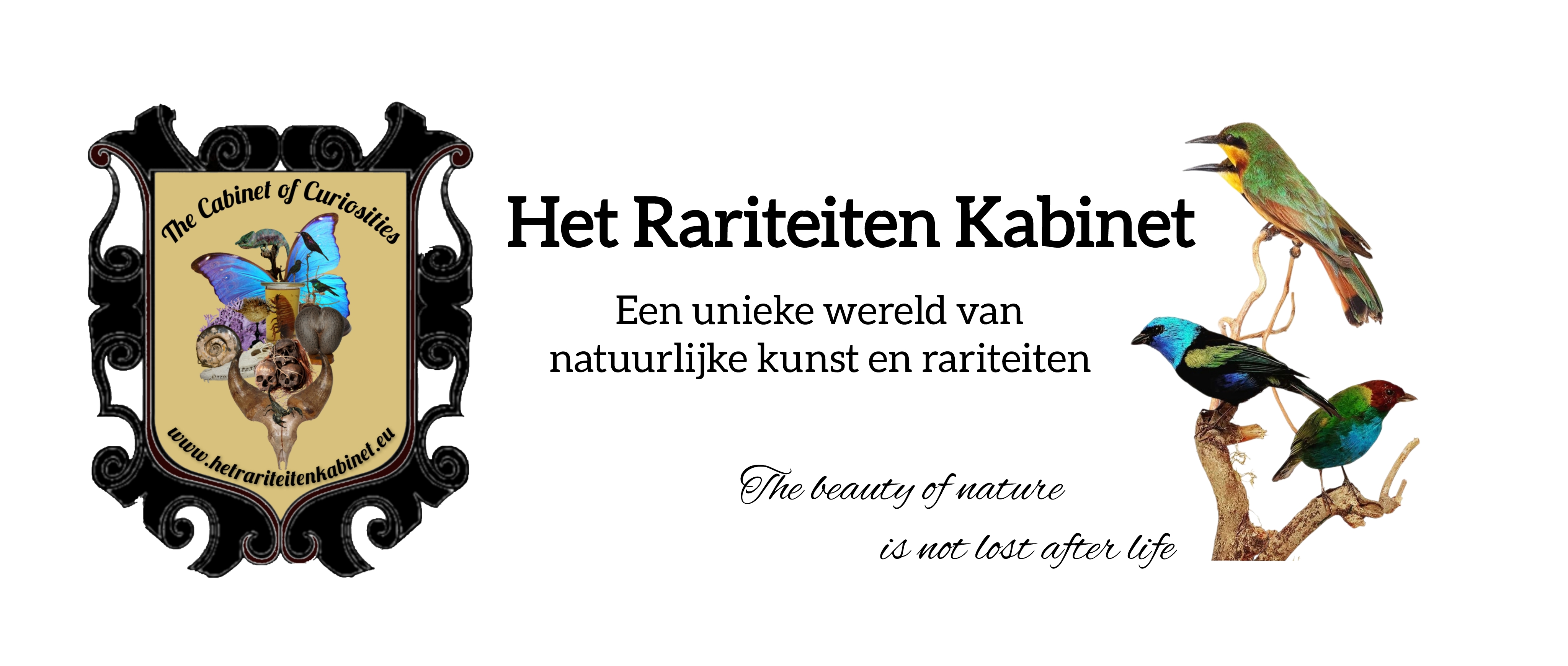 Het Rariteiten Kabinet
